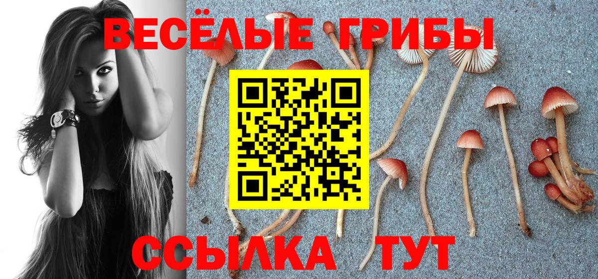 Ульяновск  Галлюциногенные грибы Cubensis  Вход с VPN 